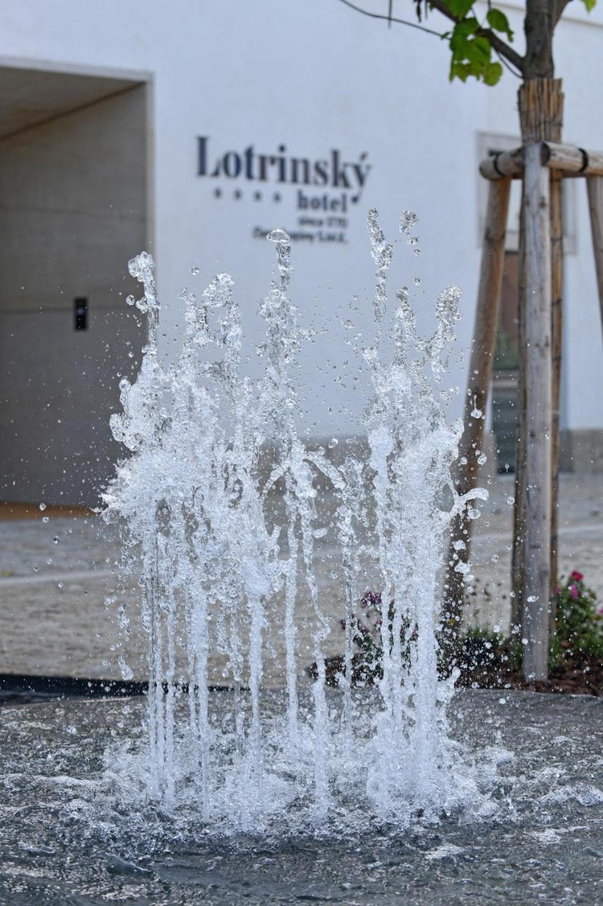 Lotrinsky Hotel Велке Біловіце Екстер'єр фото